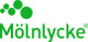 Molnlycke Health Care US, LLC